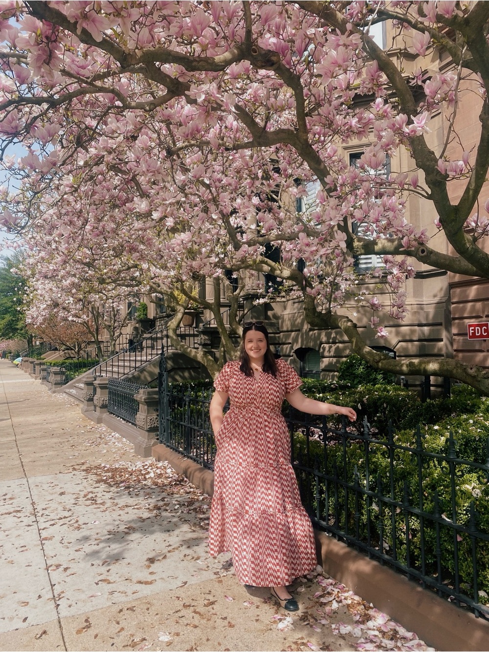 Anthropologie Somerset Dress